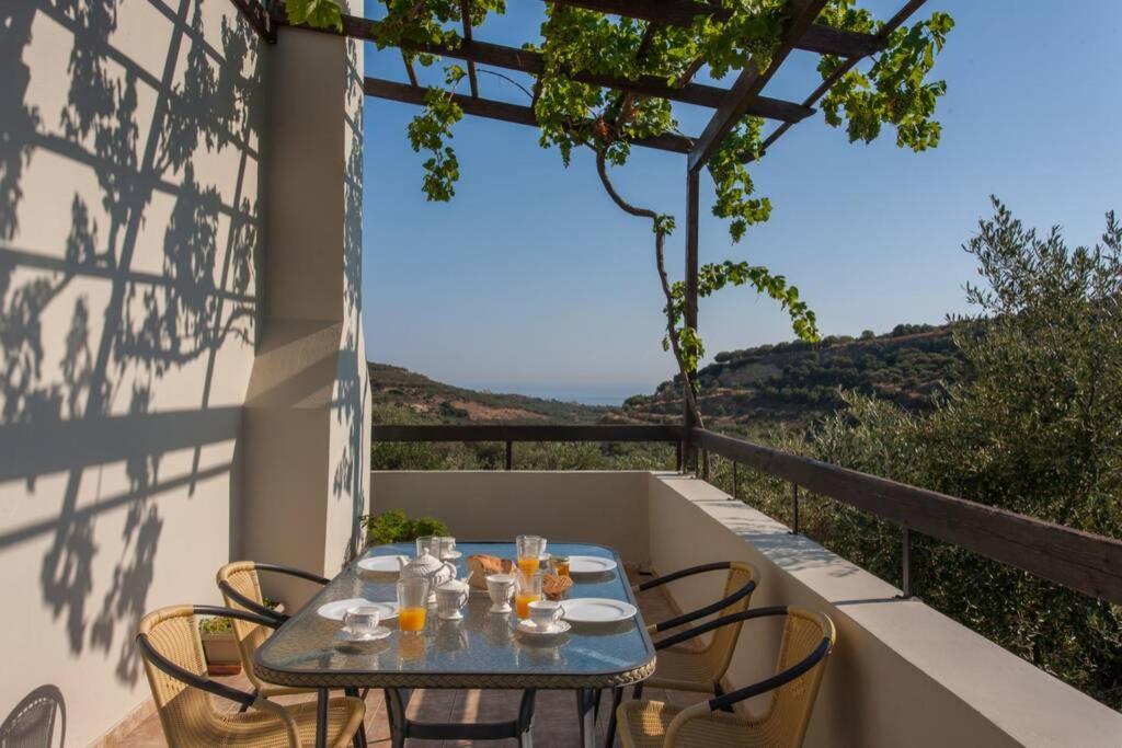 Villa Manolis 干尼亞 外观 照片