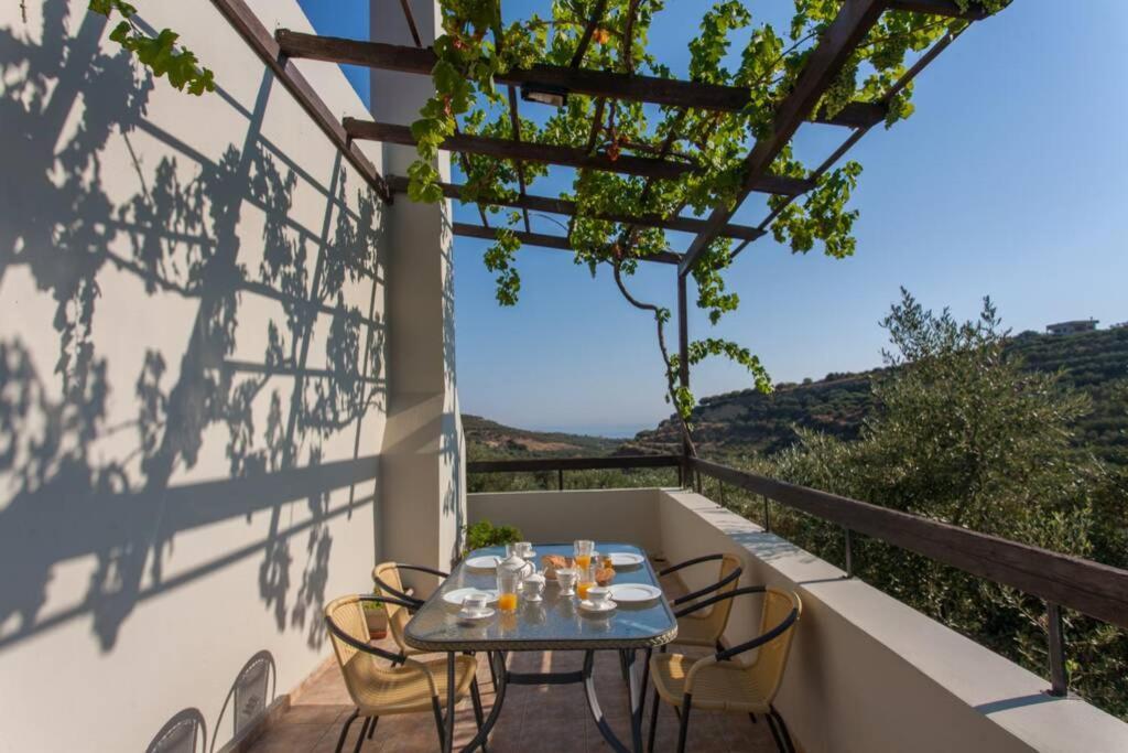 Villa Manolis 干尼亞 外观 照片